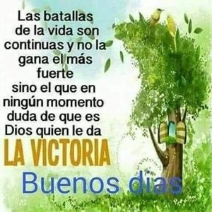 Meet your Posher, Jose